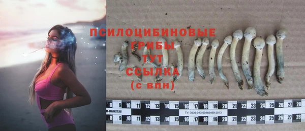 не бодяженный Арсеньев