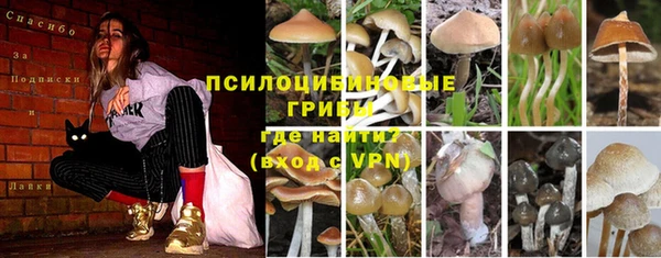 мдпв Армянск